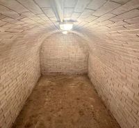 A brick-walled cellar in a cottage with an undecorated floor.