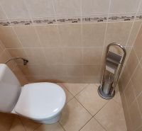 Bathroom with toilet and ceramic tiles in a 3-room apartment.