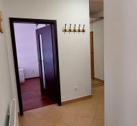 A hallway in a 3-room apartment with a coat rack wall and doors, with a view of the wood-patterned floor.