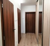 A hallway in a 3-room apartment with a wooden decor floor and a mirrored wardrobe.