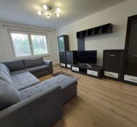 Living room in a 3-room apartment with a comfortable sofa and a wooden decor floor.