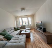 Living room in a 3-room apartment with a sofa and a wooden decor floor.
