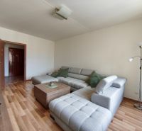 Living room in a 3-room apartment with a sofa and a wooden decor floor.