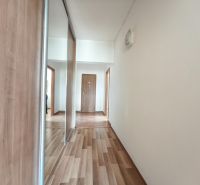 A hallway in a 3-room apartment with a wooden decor floor and a mirrored wardrobe.