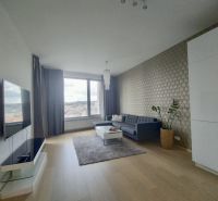 Living room in a two-room apartment with a sofa, TV, and a wooden decor floor.