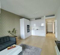 Living room with a white kitchen, gray sofa, and wood-patterned flooring in a two-room apartment.