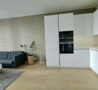 Living room in a two-room apartment with a sofa, modern kitchen, and wood-patterned flooring.