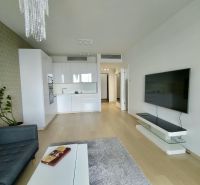 Living room with kitchen, TV on the wall, wooden decor flooring, 2-room apartment.