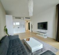 Living room in a two-room apartment with a wooden decor floor, a sofa, and a kitchen unit.