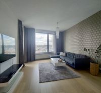 Living room in a two-room apartment with a sofa, television, and a large window.