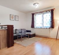 Living room in a two-room apartment with a wooden decor floor, gray sofa, and table.