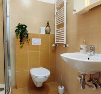 A bathroom in a 2-room apartment with a shower, beige tiles, and a plant.