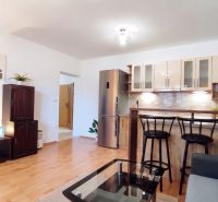 Living room with a kitchenette, glass table, and wooden decor flooring in a two-room apartment.