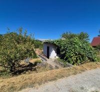 A cottage in Myjava surrounded by fruit trees and lush greenery under a blue sky.