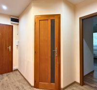 A hallway in a 3-room apartment with interior doors and flooring with a wood design.