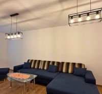 Living room with a sofa, chandelier, and wooden decor flooring in a three-room apartment.