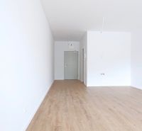 Interior of a 1-room apartment with a wooden decor floor and white walls.
