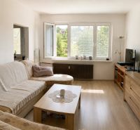 Living room in a 3-room apartment with a sofa and wooden decor flooring.
