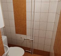 A bathroom with brown and white tiles in a studio apartment.