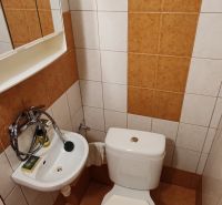 A studio apartment bathroom with a sink and toilet, tiles in white and brown color.