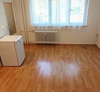 Studio apartment with wood-patterned flooring and a white refrigerator.