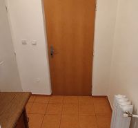 Entrance hallway with tiles, door, and radiator in a studio apartment.