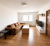 Living room in a two-room apartment with a sofa, television, and wooden decor flooring.