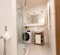 Bathroom with a shower, washing machine, and mirror in a 2-room apartment.