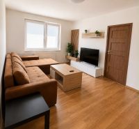 Living room in a two-room apartment with a wooden decor floor and a comfortable sofa.