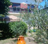 A garden at a holiday apartment in Bibione with a large decorative container.