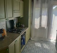 A kitchen in a holiday apartment with colorful tiles and green cabinets.