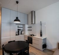 A kitchen in a 2-room apartment with a black table and a wooden decor floor.
