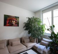 Living room in a two-room apartment with plants, painting, and natural light.
