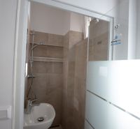 Bathroom in a studio apartment with a sink and shower, simple design.
