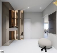 Interior of a 3-room apartment with minimalist furniture and decor on a white floor.