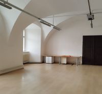 Spacious commercial spaces with vaulted ceilings and wooden decor flooring.