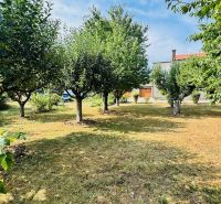 Garden trees by the family house in Radobica, creating a peaceful atmosphere.