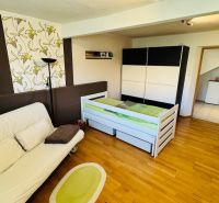 A room with a sofa and a bed, wooden decor flooring, family house.