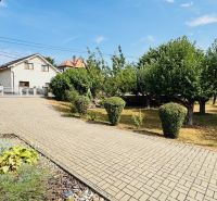 Family house in Radobica with a garden, a paved road, and stone cladding on the facade.