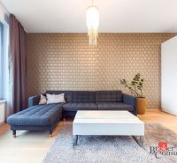 Living room with a corner sofa, carpet, and wooden decor flooring in a two-room apartment.