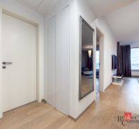 The entrance hall of a 2-room apartment with a wooden decor floor, a large mirror, and a view from the living room.