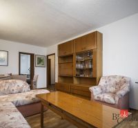 Living room with a sofa, armchair, furniture, and floor with wood decor in a 4-room apartment.