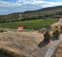 Plots - living in Modra, vineyards and hills under the blue sky, natural scenery.