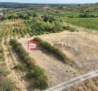 Vineyard plots for sale in Modra, ideal for living with nature.