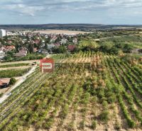 Vast vineyards and houses in the town of Modra, suitable plots for living.