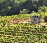Vineyards among trees with a stone building, Residential land in Modra.