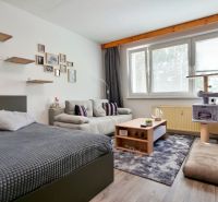 Bedroom in a 2-room apartment with a sofa, bed, shelves, carpet, and cat scratcher.