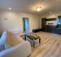 Living room in a 2-room apartment with a comfortable sofa and a wooden decor floor.