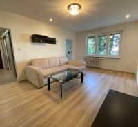 Living room in a two-room apartment with a sofa and wooden decor flooring.