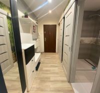 A hallway with a wooden decor floor in a 2-room apartment with a shower.